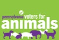 Animal Activism Collective