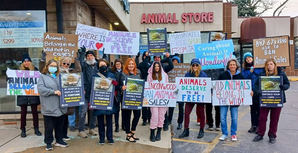 In Defense of Animals