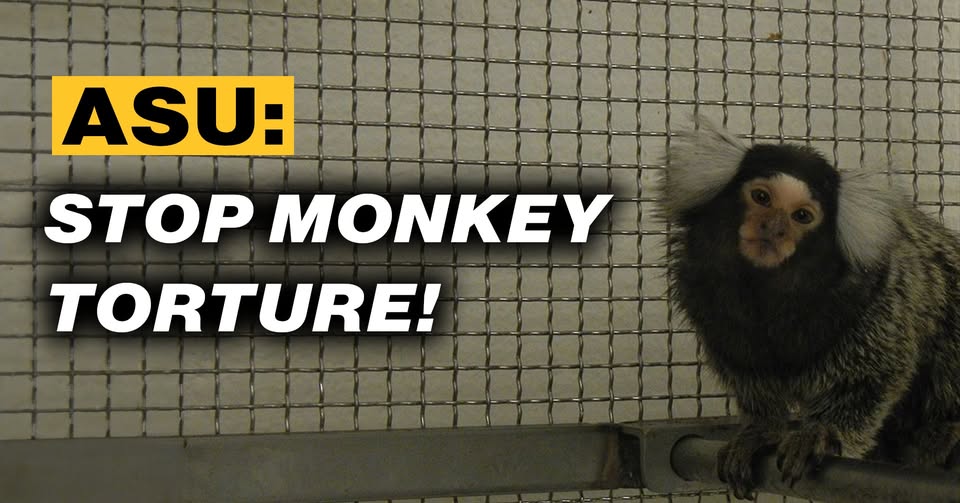 In Defense of Animals