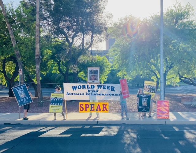 In Defense of Animals