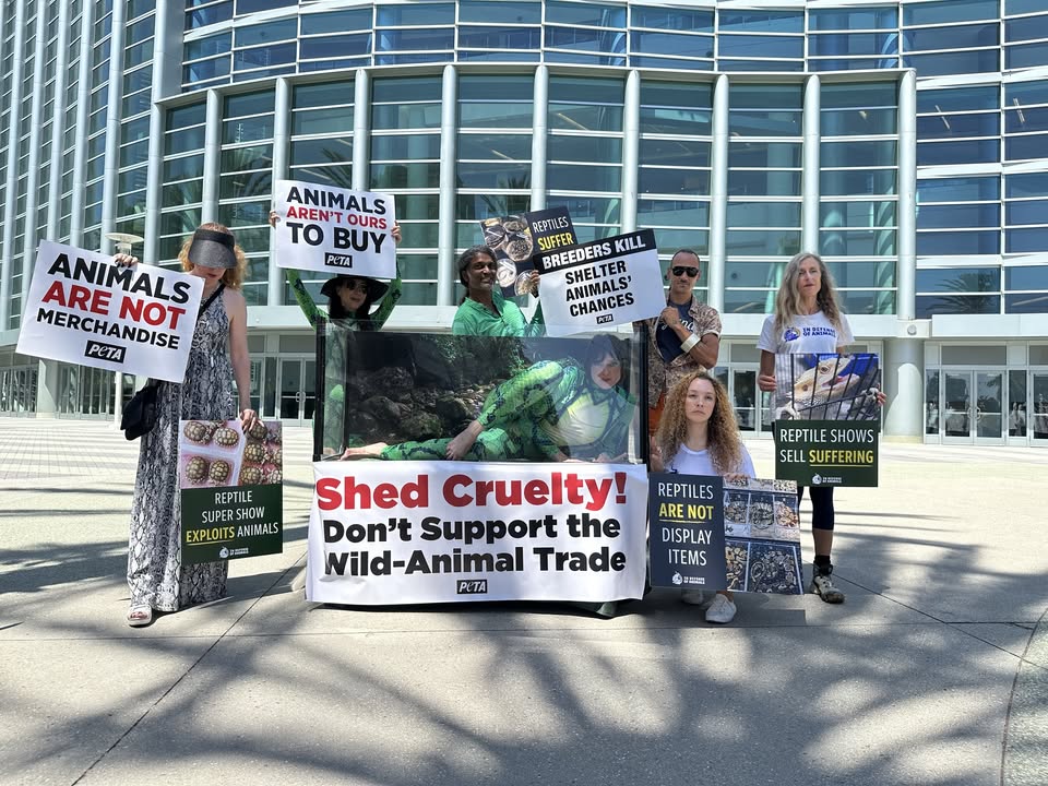 In Defense of Animals