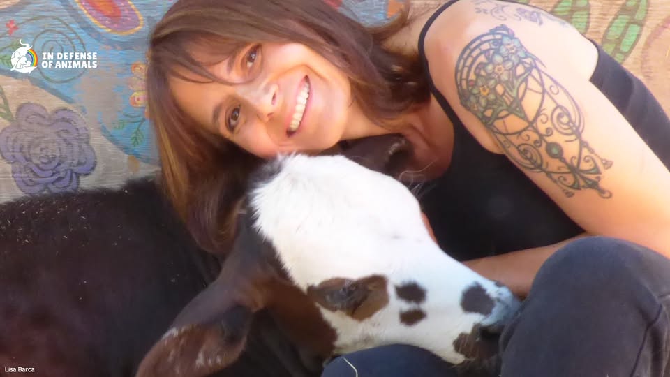 In Defense of Animals