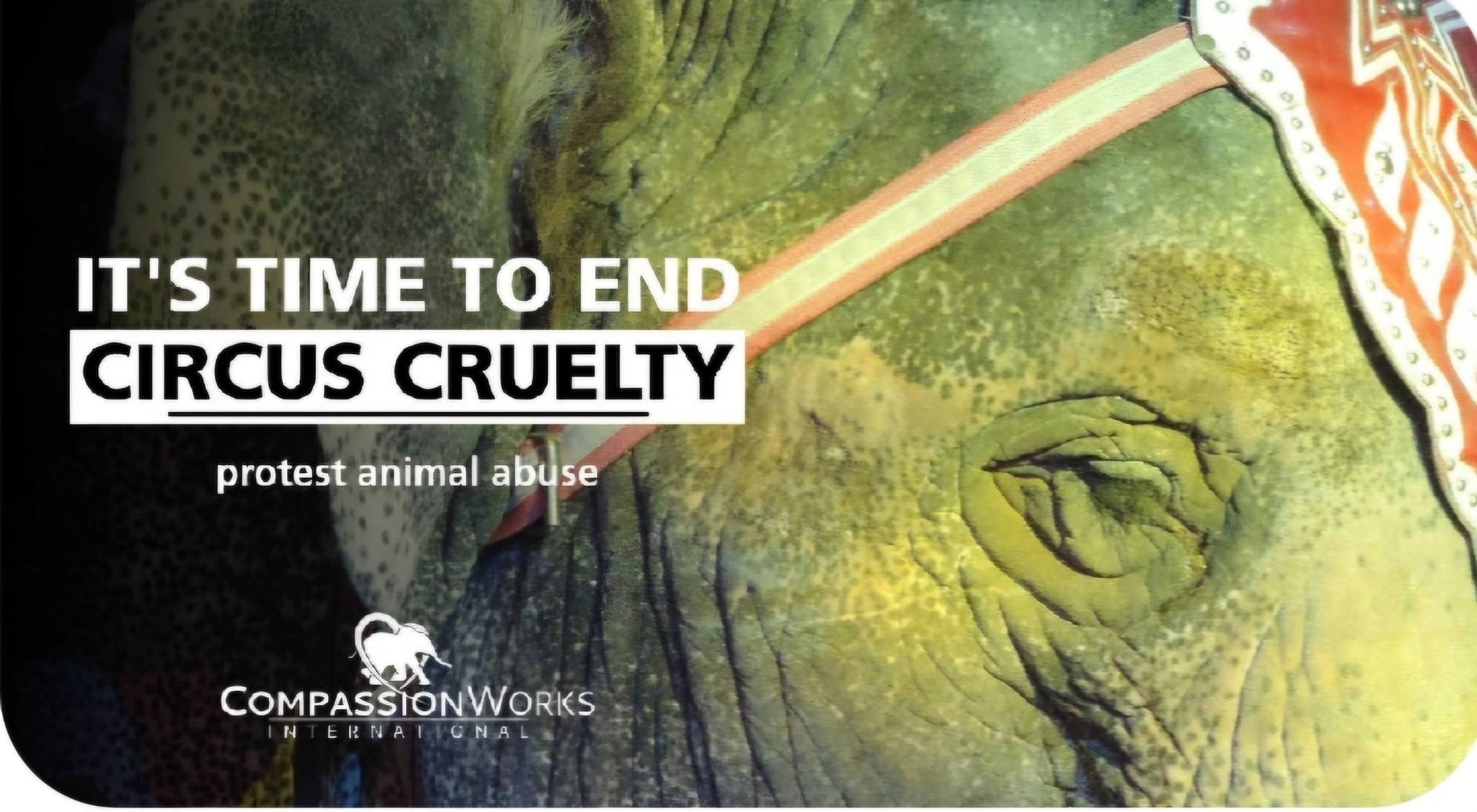 In Defense of Animals
