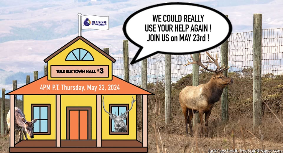 In Defense of Animals