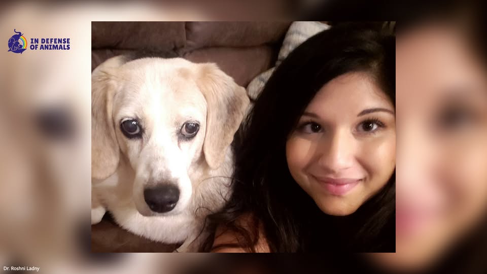 In Defense of Animals