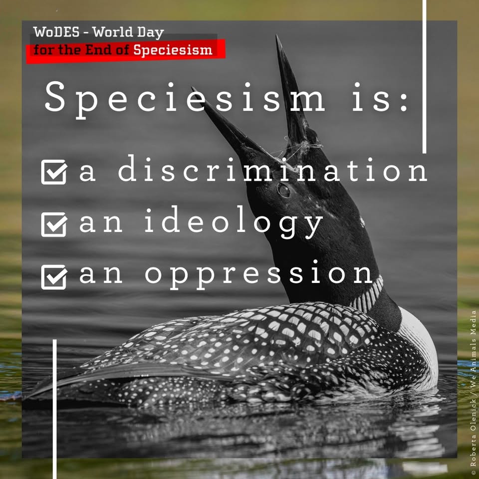 In Defense of Animals