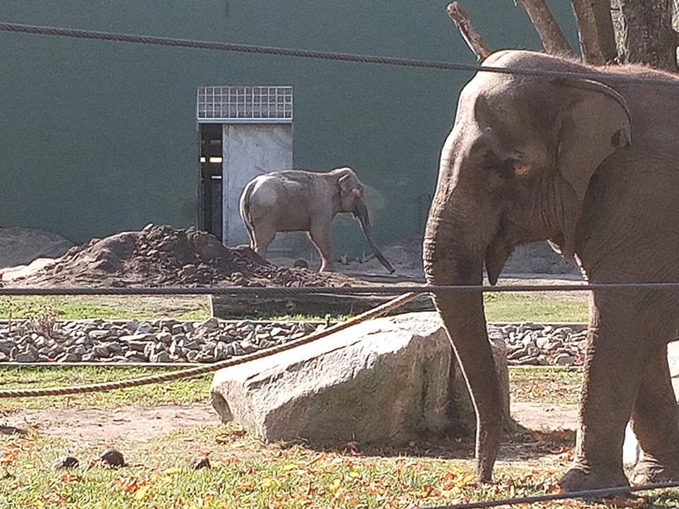 In Defense of Animals