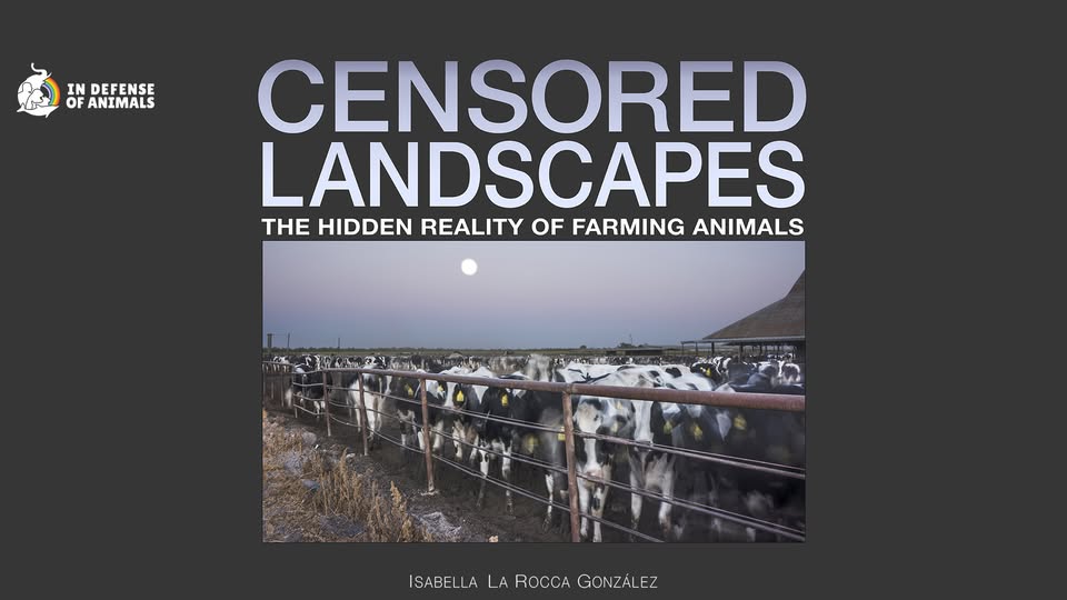 In Defense of Animals
