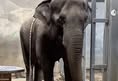 In Defense of Animals