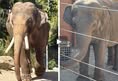 In Defense of Animals