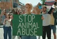 In Defense of Animals