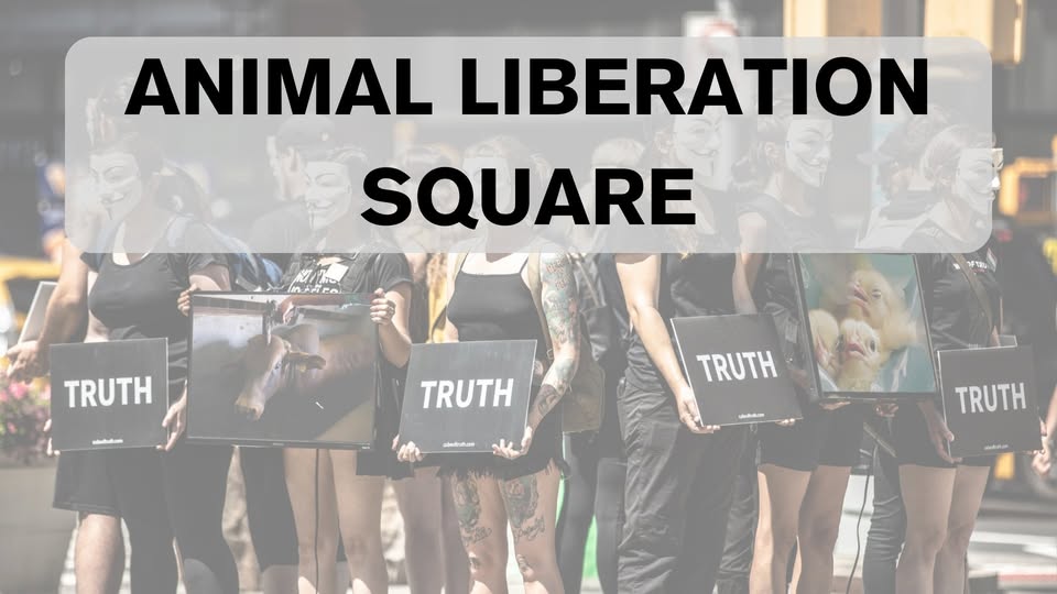 Vegan Activism Denmark