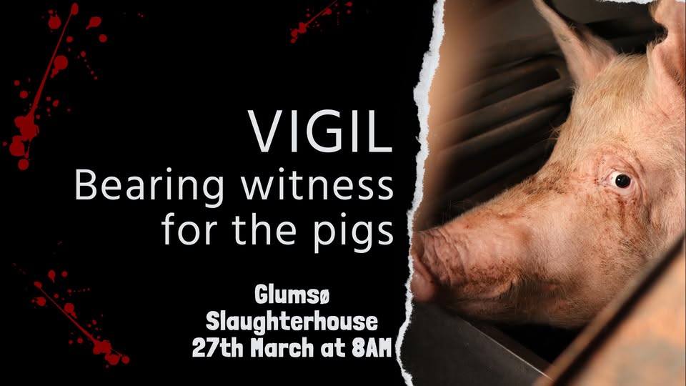 Vegan Activism Denmark