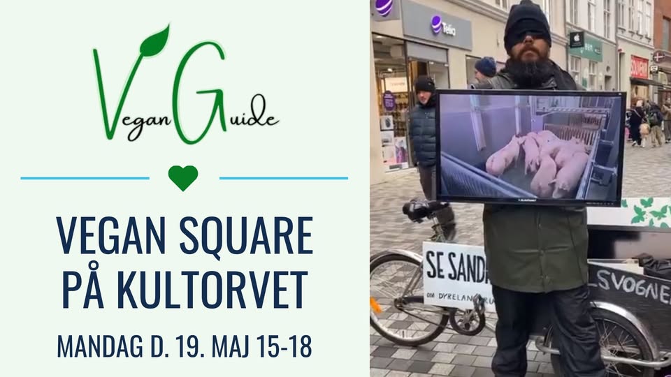 Vegan Activism Denmark