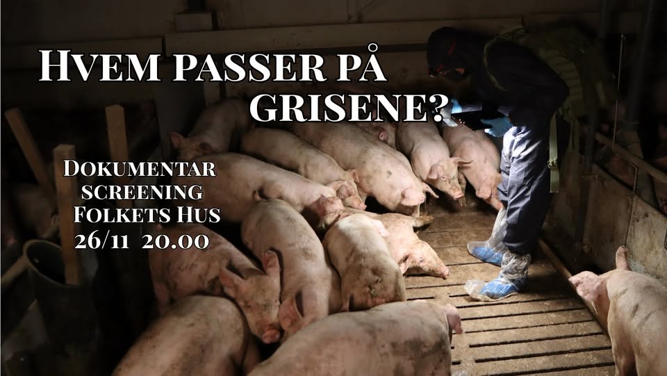 Vegan Activism Denmark