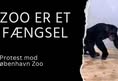 Vegan Activism Denmark