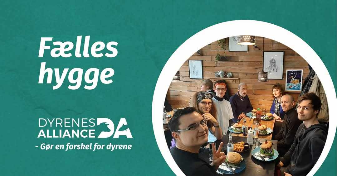 Dyrenes Alliance