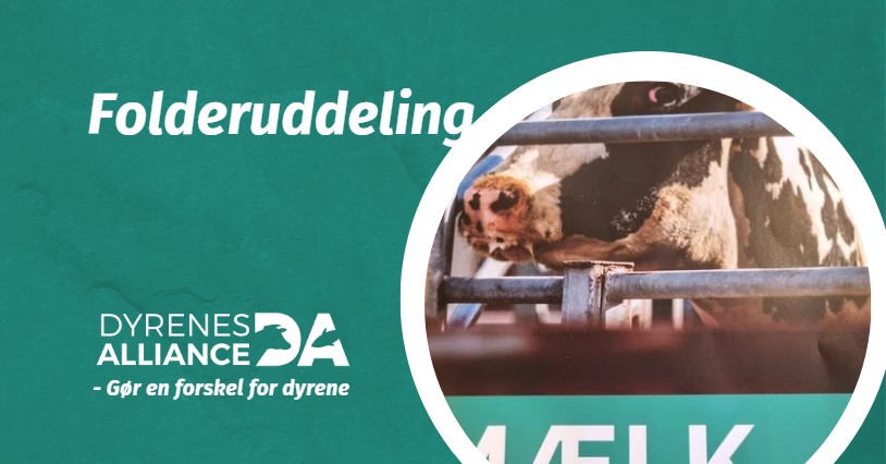 Dyrenes Alliance