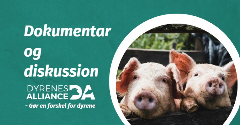 Dyrenes Alliance