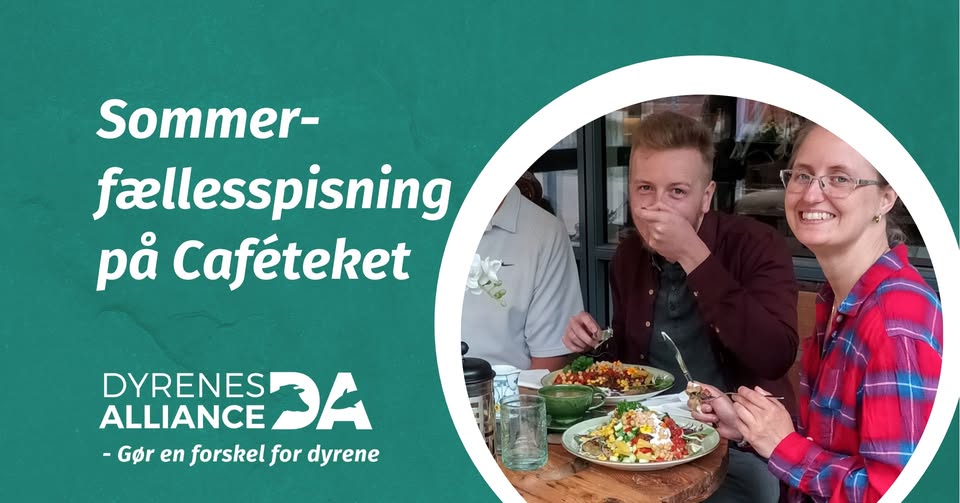 Dyrenes Alliance