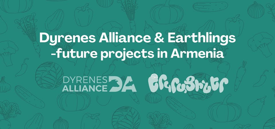 Dyrenes Alliance