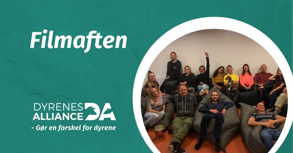 Dyrenes Alliance