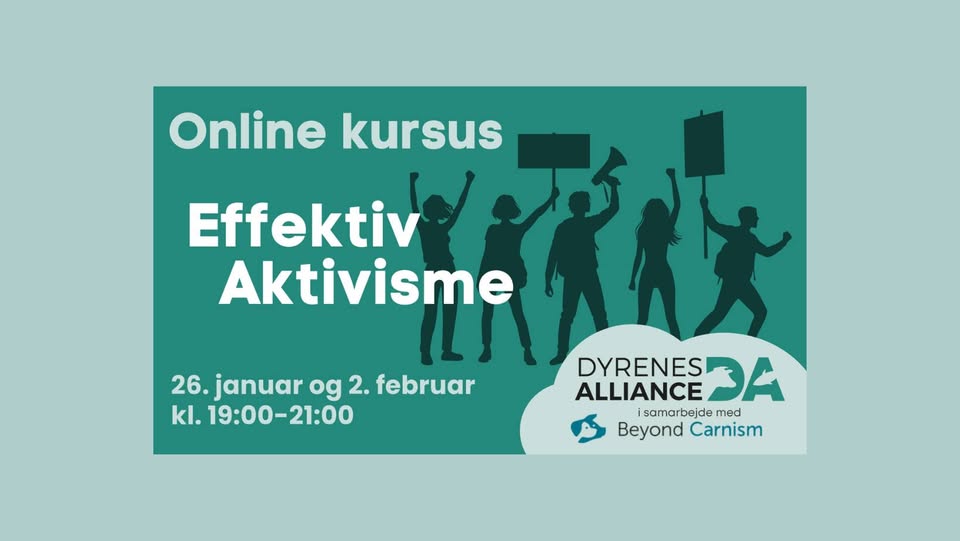 Dyrenes Alliance