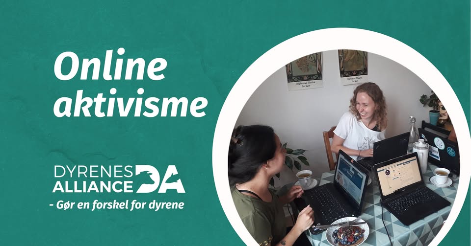 Dyrenes Alliance