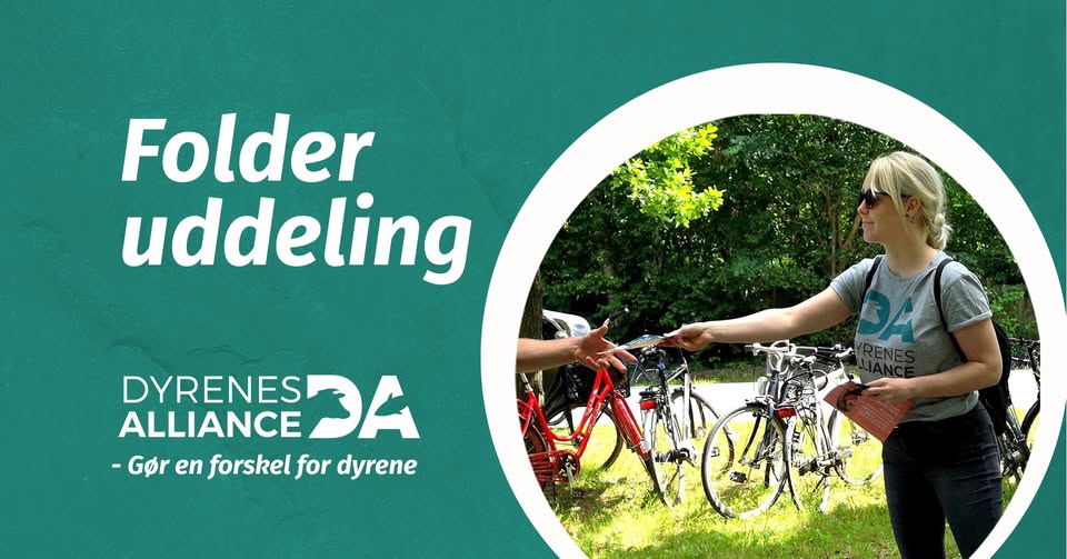 Dyrenes Alliance