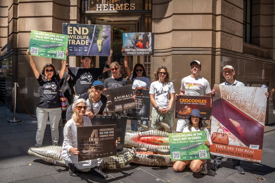 Animal Rights Activism Sydney