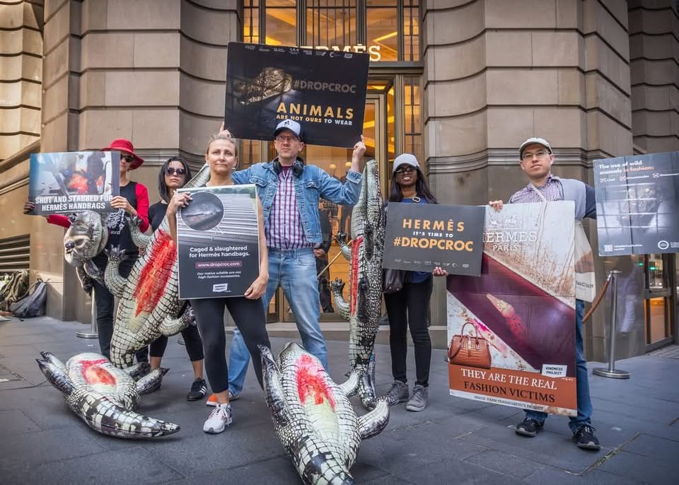 Animal Rights Activism Sydney
