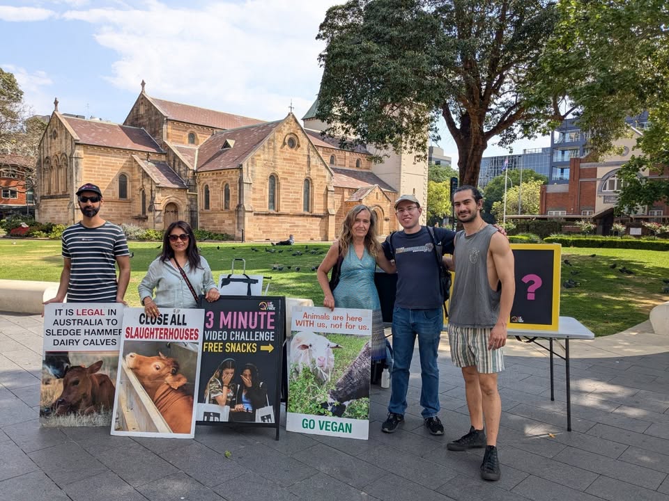 Animal Rights Activism Sydney