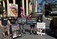 Animal Rights Activism Sydney