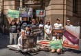 Animal Rights Activism Sydney