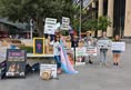 Animal Rights Activism Sydney