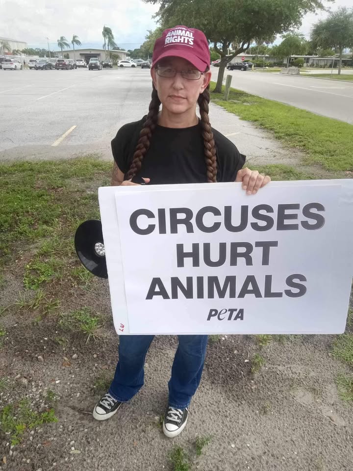 Animal Rights Florida