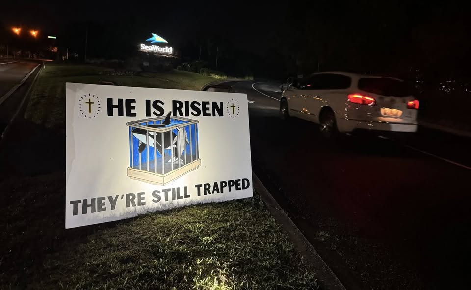 Animal Rights Florida