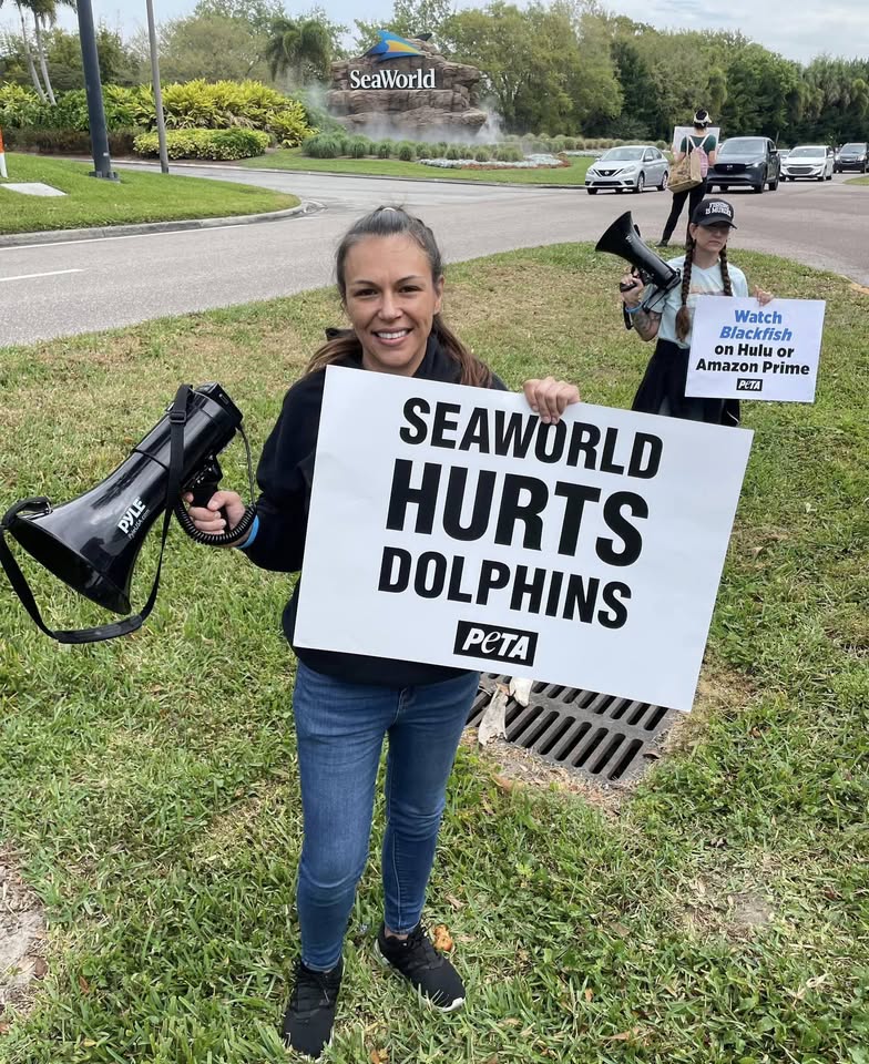 Animal Rights Florida