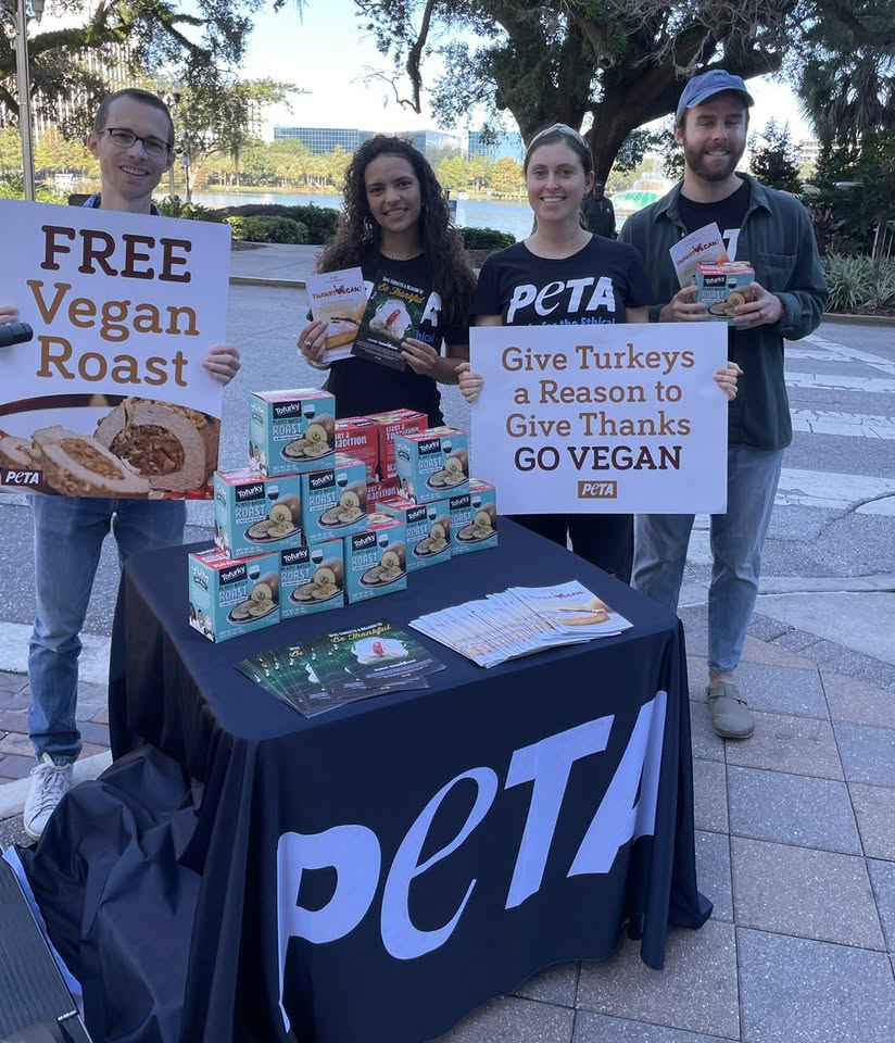 Animal Rights Florida