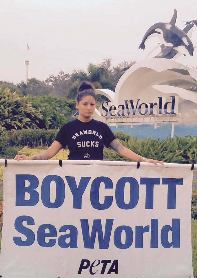 Animal Rights Florida
