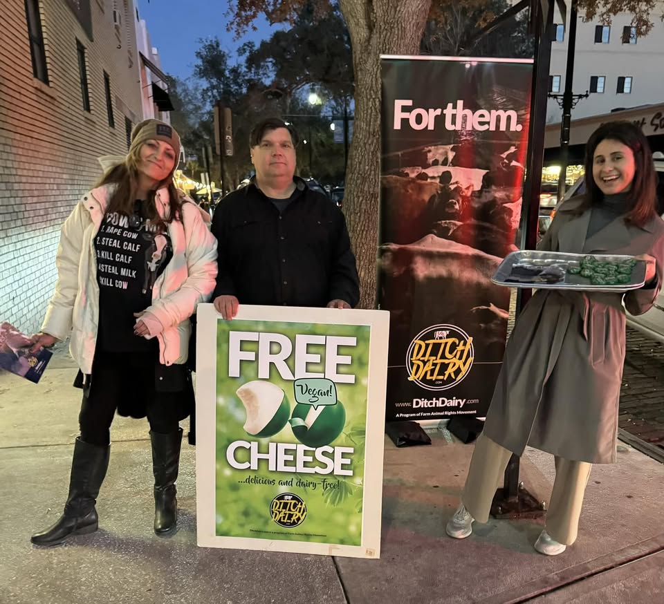Animal Rights Florida