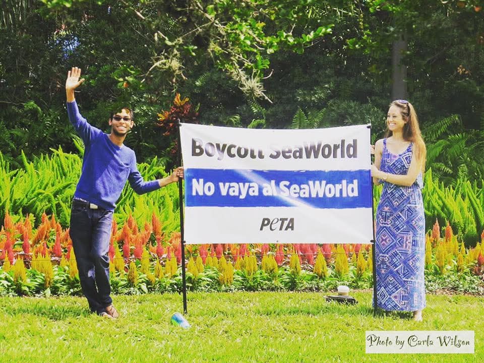 Animal Rights Florida