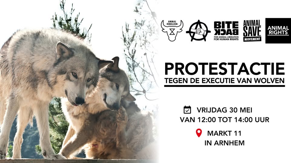 Animal Rights NL