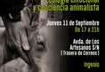 Voces Animalistas