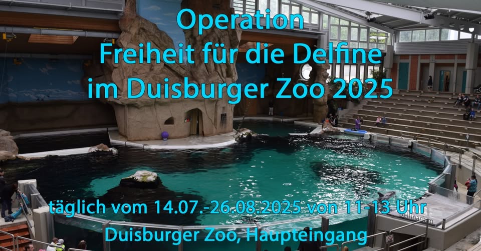 Freedom for dolphins and whales