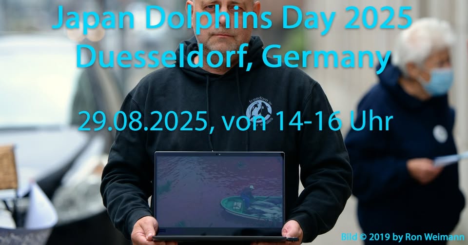 Freedom for dolphins and whales