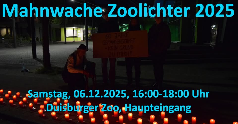 Freedom for dolphins and whales