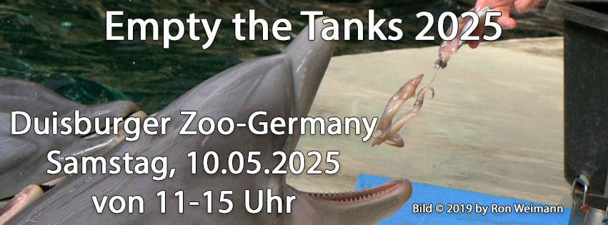 Freedom for dolphins and whales