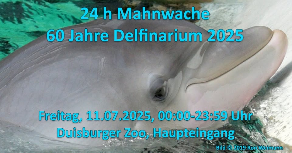 Freedom for dolphins and whales