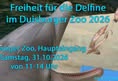 Freedom for dolphins and whales